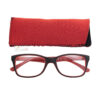 Gafas de lectura L94 con funda