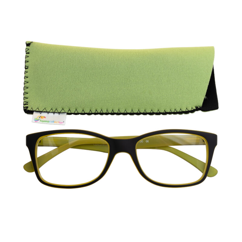 Gafas de lectura L94B con funda